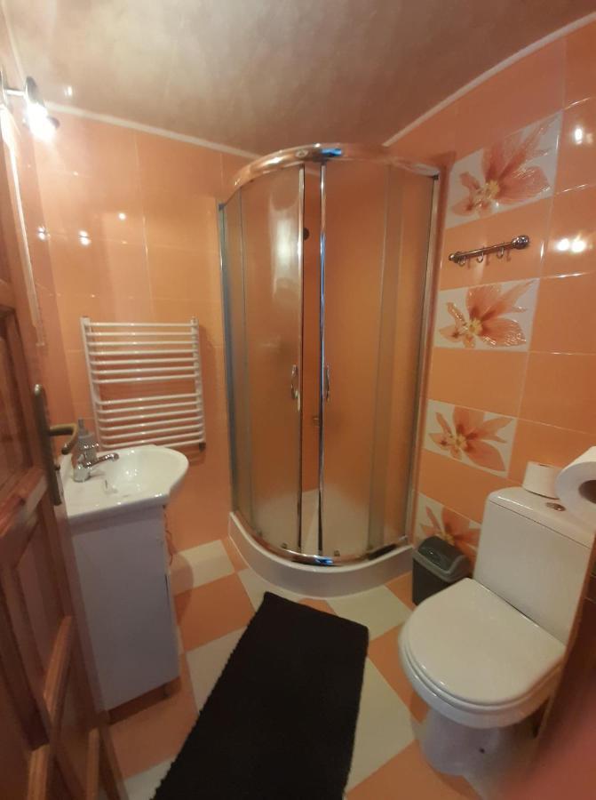 Na Gorce W Bialym Dunajcu 比利但耶克 外观 照片